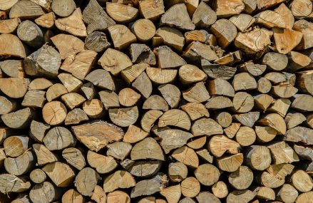 Quelle essence de bois de chauffage devriez-vous choisir ?