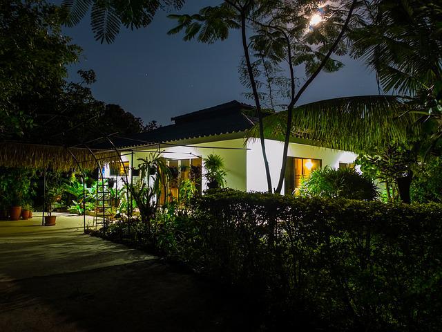 jardin dans la nuit
