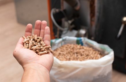 Guide d’achat d’un sac de pellets