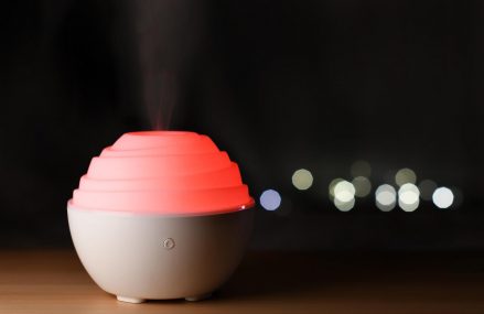 Humidificateur d’air : 6 critères de choix