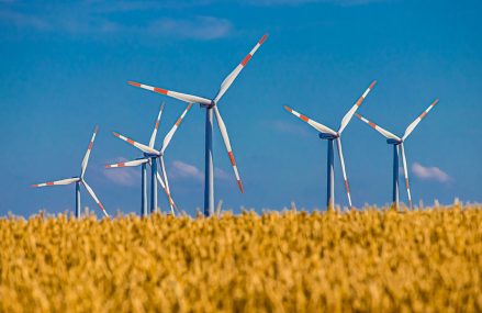 Éolienne de pompage : fonctionnement et prix