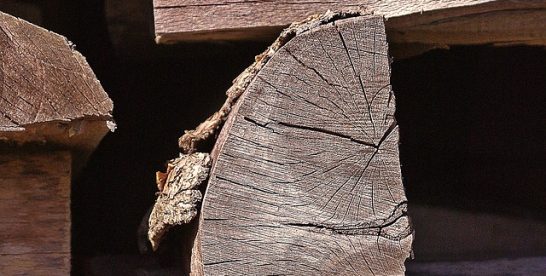 Grumes de chauffage : comment choisir, stocker et utiliser le bois pour un chauffage durable ?