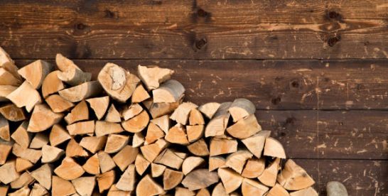 Top 11 des meilleurs bois de chauffage pour une chaleur optimale