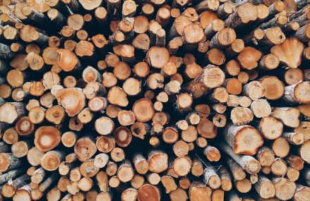 Trouver le fournisseur idéal pour votre budget : Options abordables de bois de chauffage