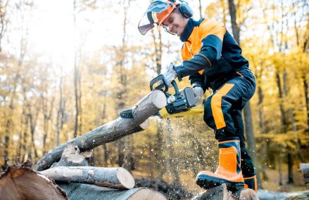 8 conseils pour couper et fendre le bois de chauffage comme un pro