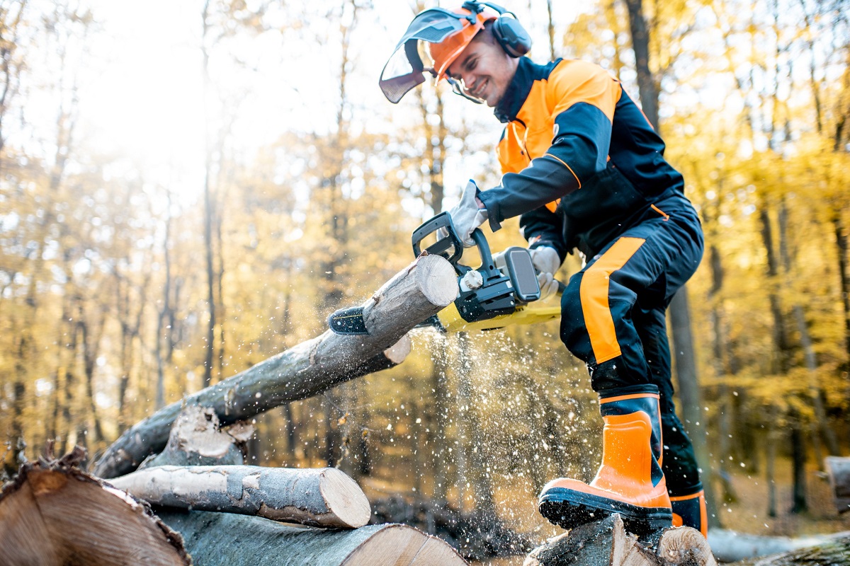2-8 conseils pour couper et fendre le bois de chauffage comme un pro