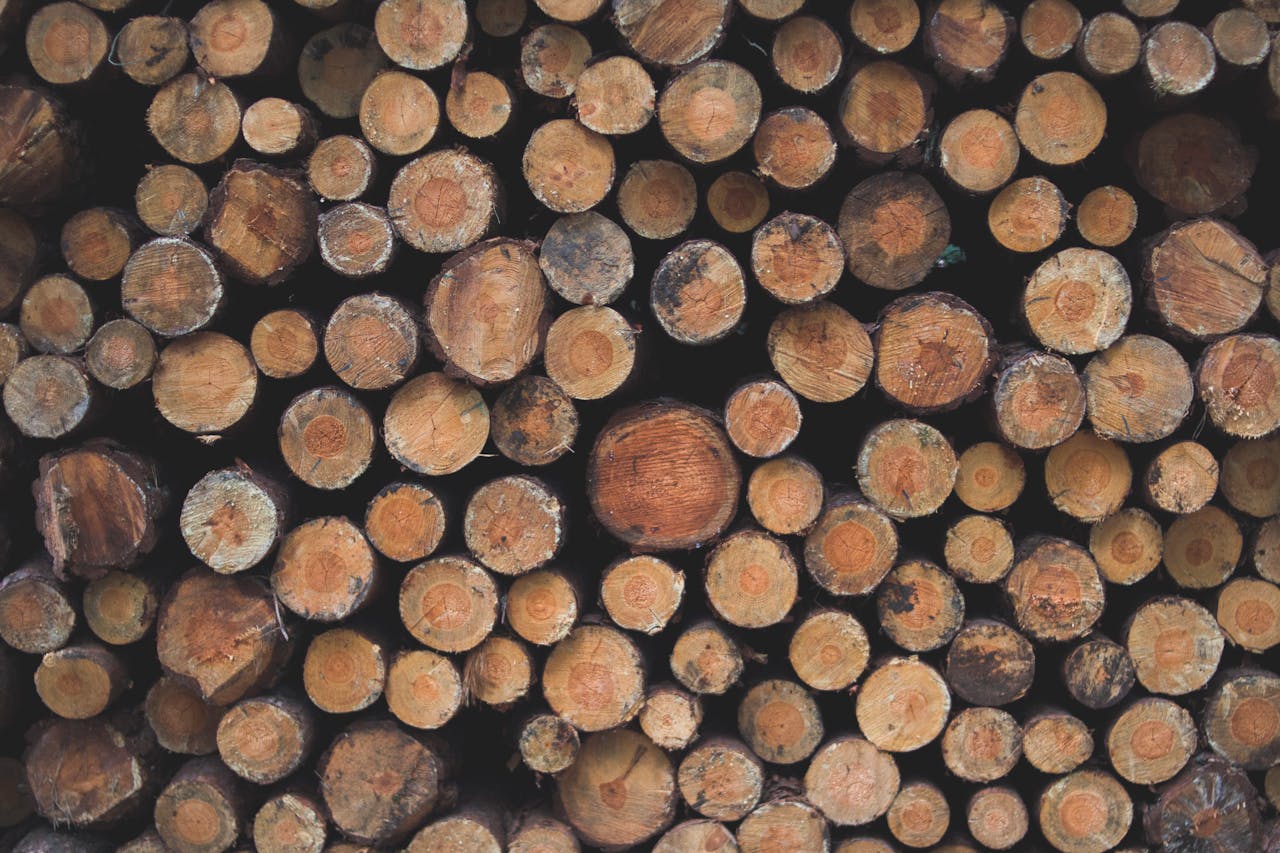 bois de chauffage