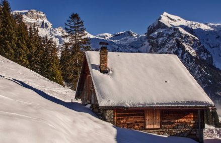 Guide complet sur les matériaux pour cheminées : bois, pierre, métal