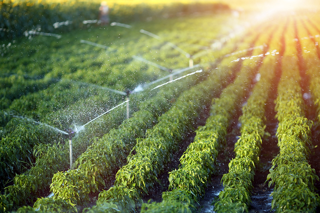 systèmes d'irrigation efficace
