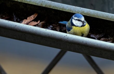Les matériaux utilisés pour la fabrication de gouttières