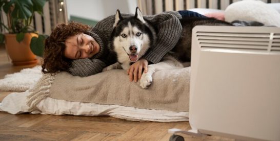Qualité de l’air et animaux de compagnie : comment concilier bien-être animal et air sain ?