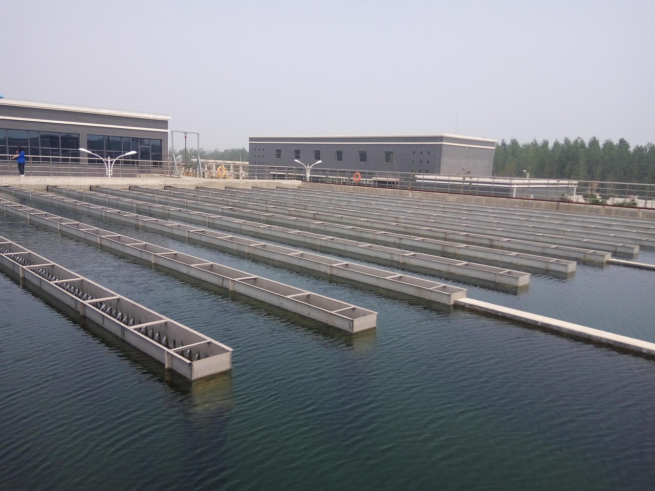 découvrez les dernières technologies et méthodes de traitement des eaux, garantissant une eau potable de qualité et respectueuse de l'environnement. informez-vous sur les solutions innovantes pour purifier et recycliser l'eau, tout en préservant notre planète.